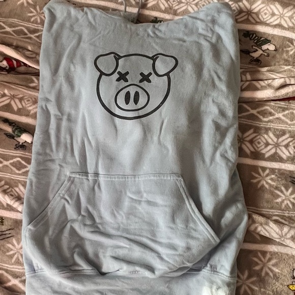 Shane Dawson x Jeffery Star pig hoodie (unisex) - Picture 1 of 2